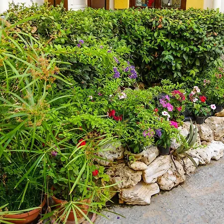 Giardino Dell’alloro - Locazioni Turistiche